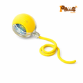 Balle interactive pour chien et chat– Jeu intelligent & anti-ennui | PawsGear